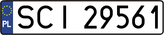 SCI29561