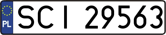 SCI29563