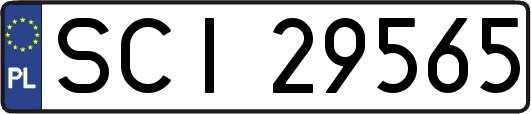 SCI29565