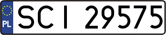 SCI29575