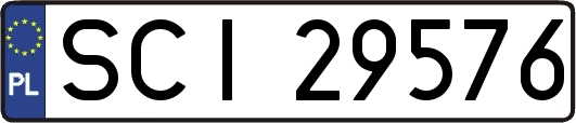 SCI29576
