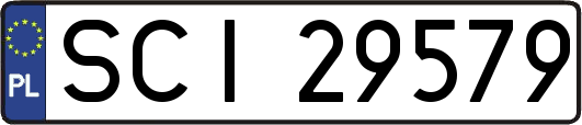 SCI29579