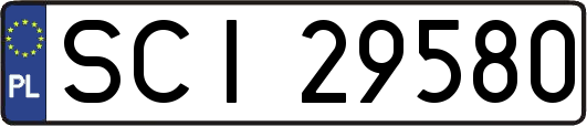 SCI29580
