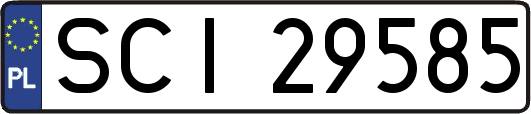 SCI29585
