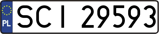 SCI29593