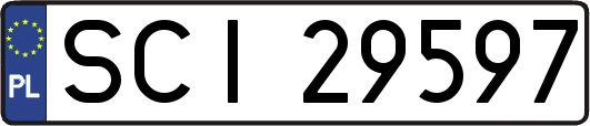 SCI29597