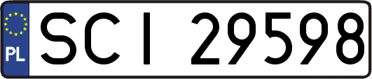 SCI29598