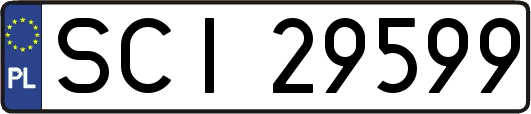 SCI29599