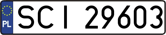 SCI29603