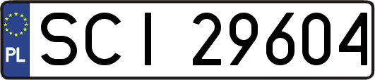 SCI29604