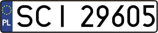 SCI29605