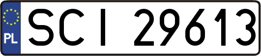 SCI29613