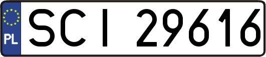 SCI29616