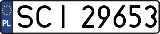 SCI29653