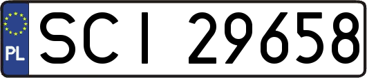 SCI29658