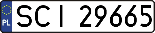 SCI29665