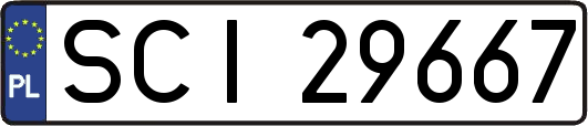 SCI29667