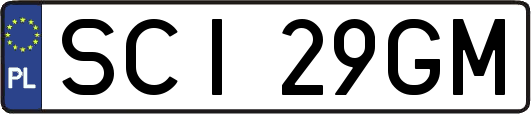 SCI29GM