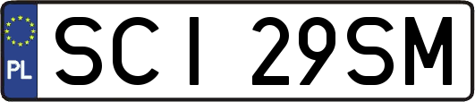 SCI29SM