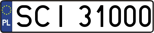 SCI31000