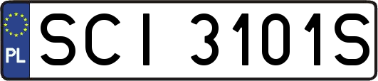 SCI3101S