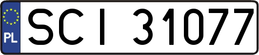 SCI31077