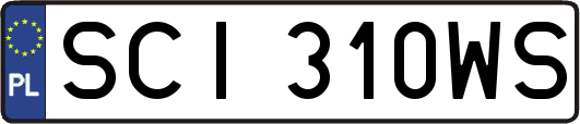 SCI310WS