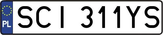 SCI311YS