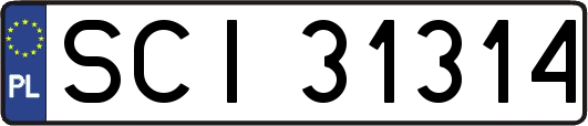 SCI31314