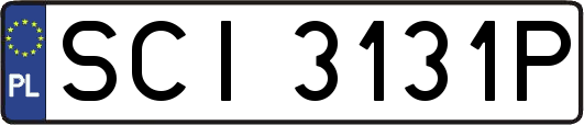 SCI3131P