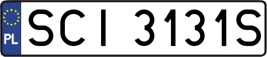 SCI3131S