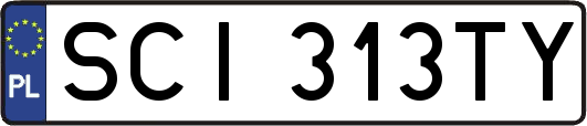 SCI313TY