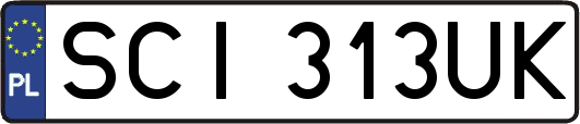 SCI313UK