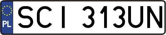 SCI313UN