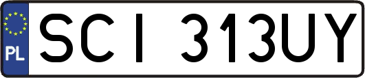 SCI313UY