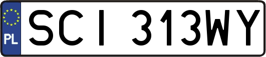 SCI313WY
