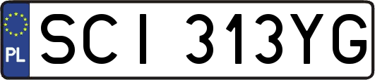 SCI313YG