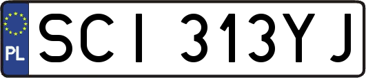 SCI313YJ