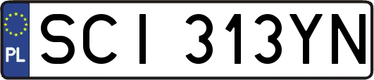 SCI313YN