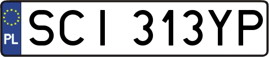 SCI313YP