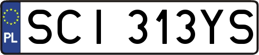 SCI313YS