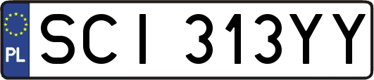 SCI313YY