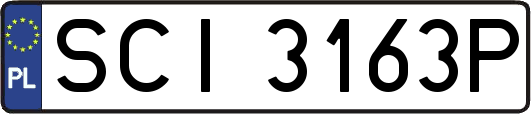 SCI3163P