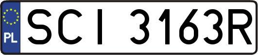SCI3163R