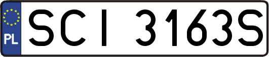 SCI3163S