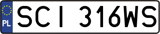 SCI316WS