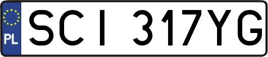 SCI317YG