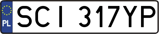 SCI317YP