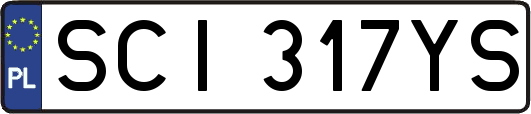 SCI317YS