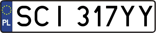 SCI317YY